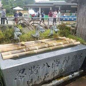 Meet your Posher, Kimber